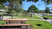 Picnic