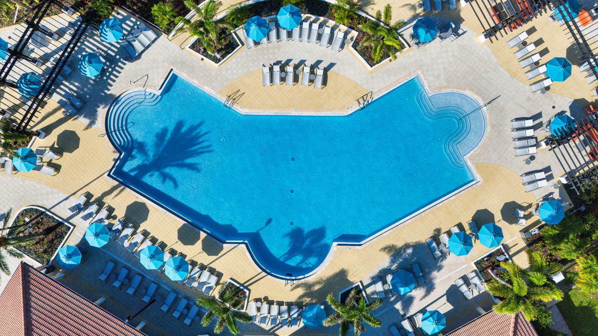 Vista Cay Pool