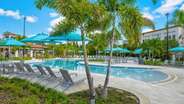 Vista Cay Pool