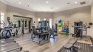Clubhouse Gym