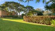 Tropical Grounds