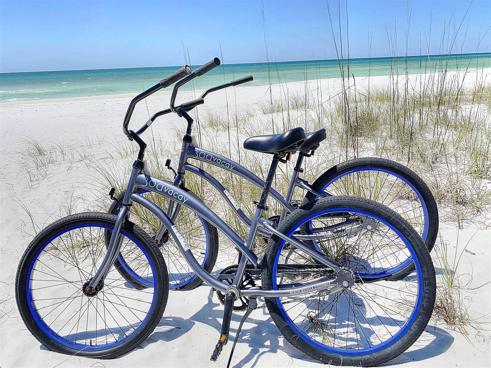 Shore to Have Fun - Seagrove Beach - 30A Vacay - 30A Vacay