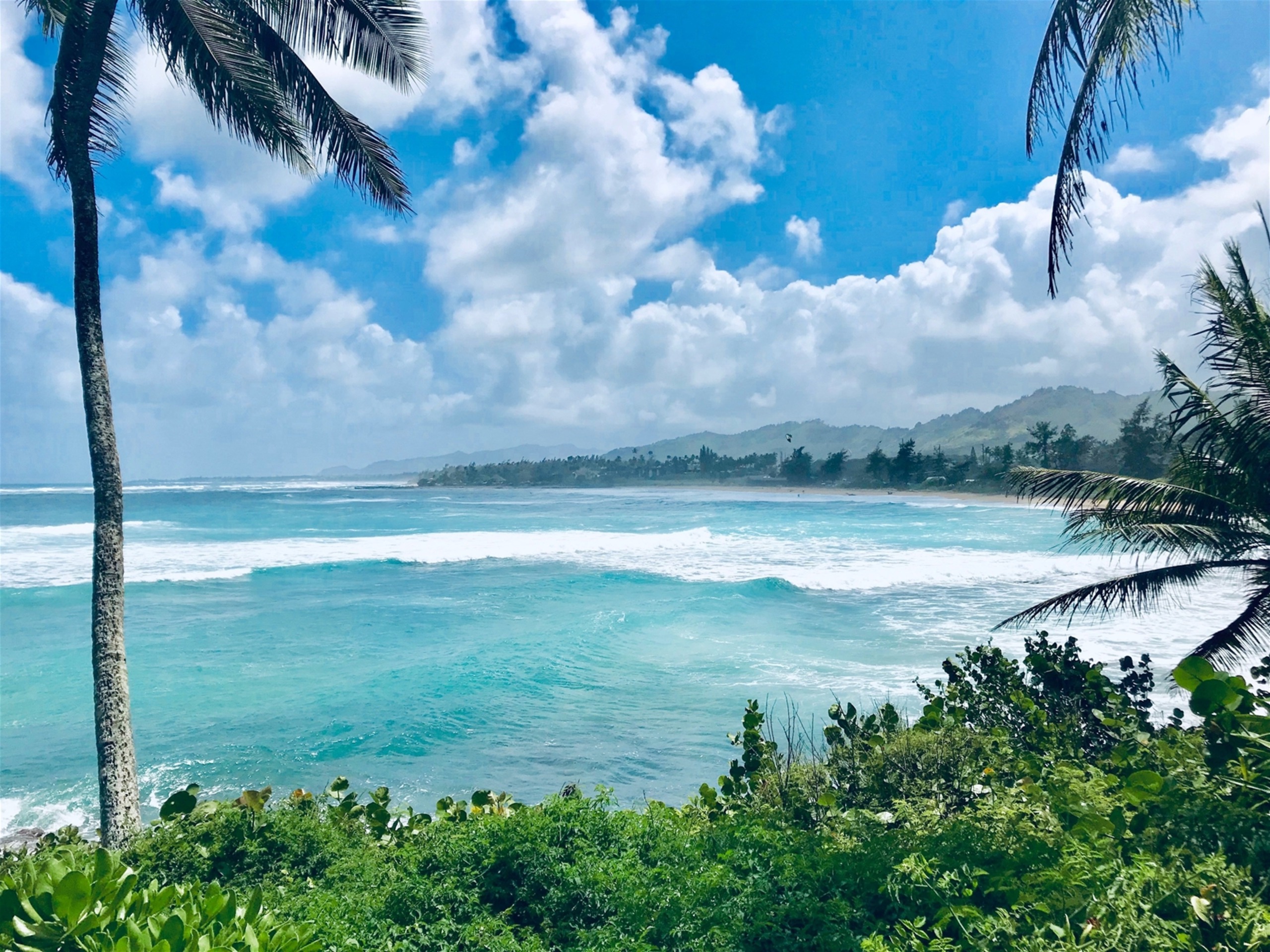 Ground Floor - Blue Jade Real Estate/Dream Vacations Kauai