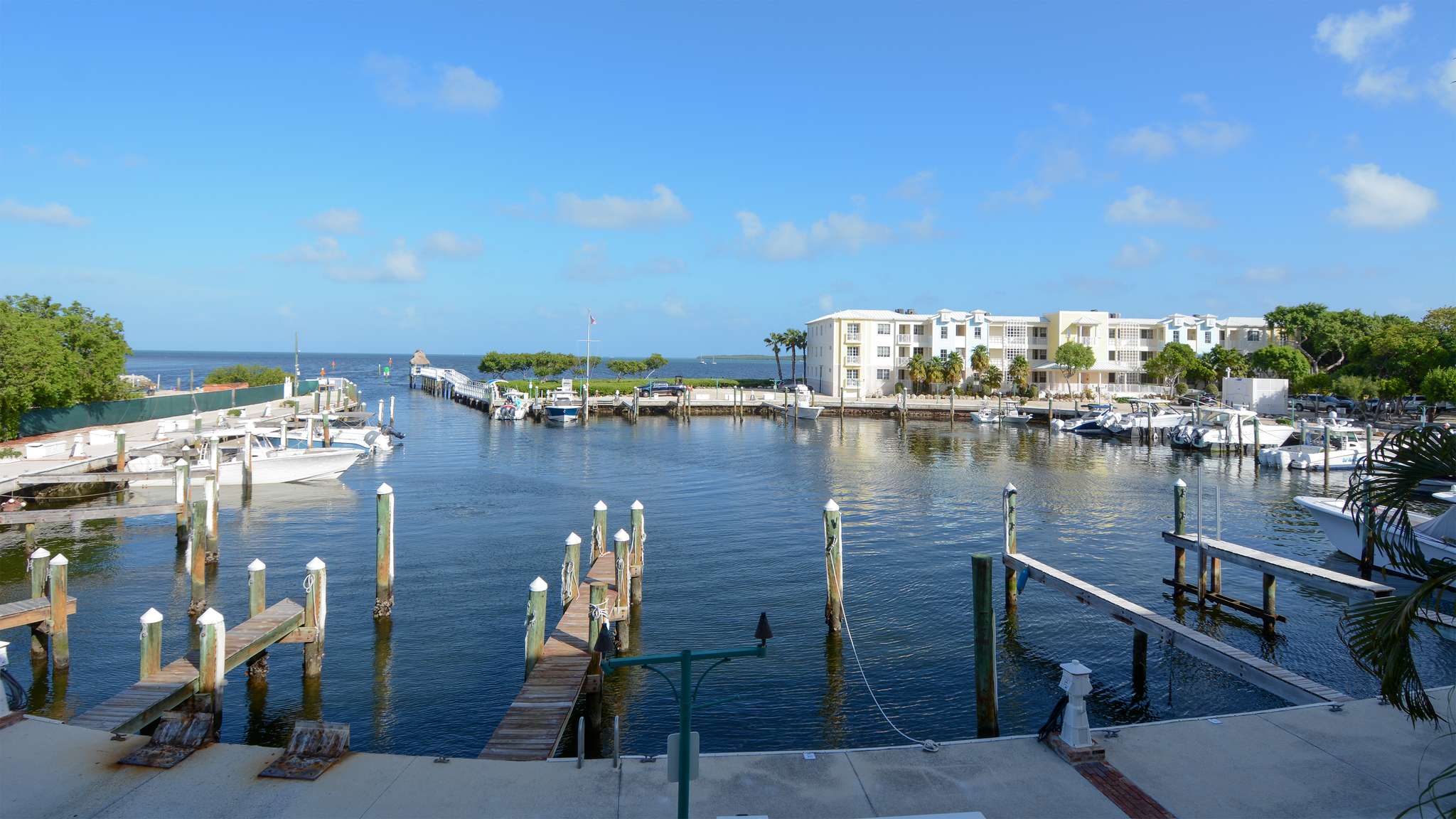 View from the Balcony 