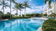 Oasis Pool