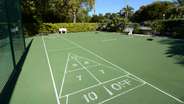 Shuffle Ball Court
