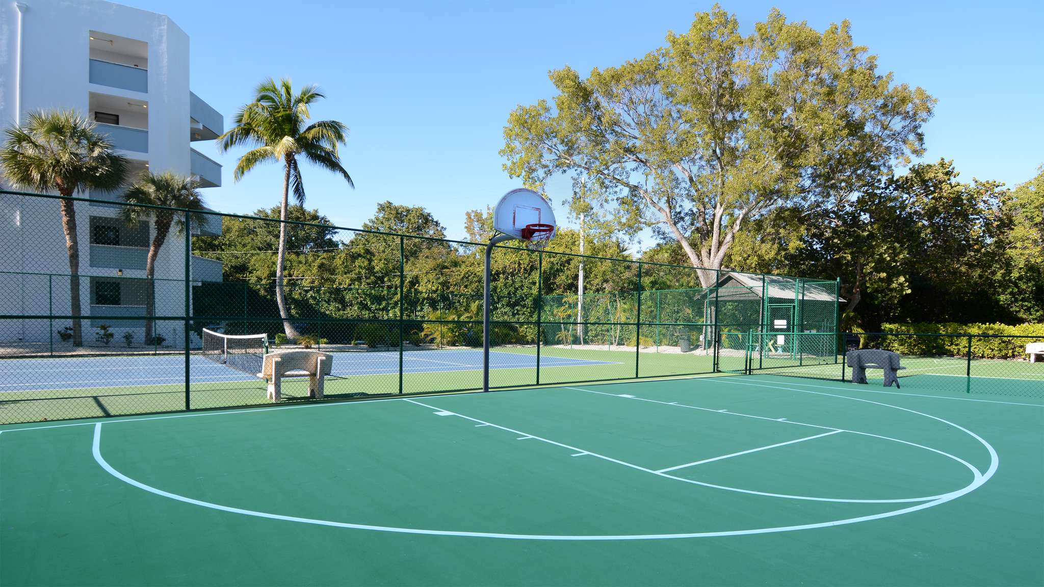 Basketball Court